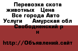 Перевозка скота животных › Цена ­ 39 - Все города Авто » Услуги   . Амурская обл.,Свободненский р-н